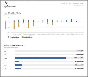 Domain Authority Document